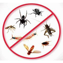 General Pest Control
